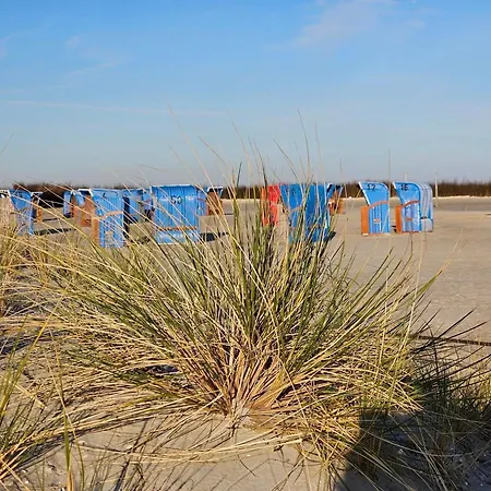 Friesenkate Steuerbord *